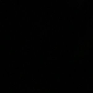 Meet your Posher, Gabby